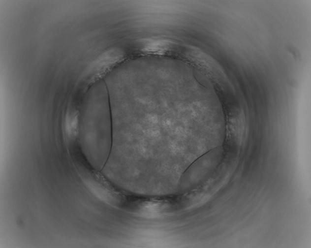 X0000113240504200910221103