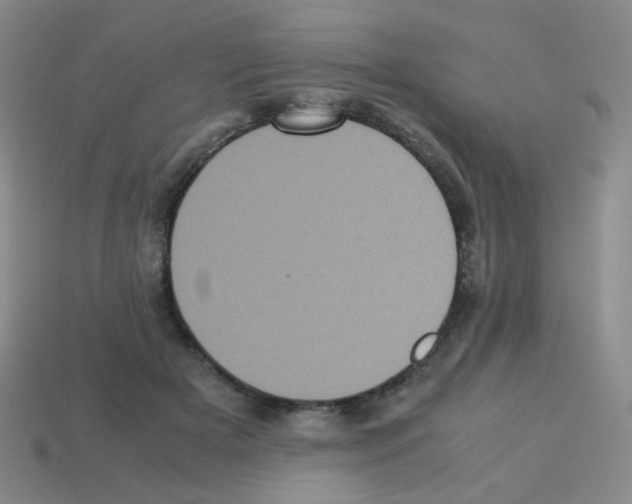 X0000113240505200910221103