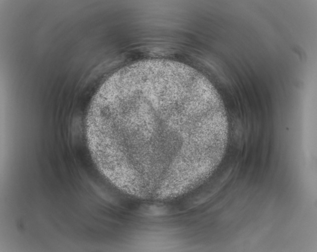 X0000113240506200910221103