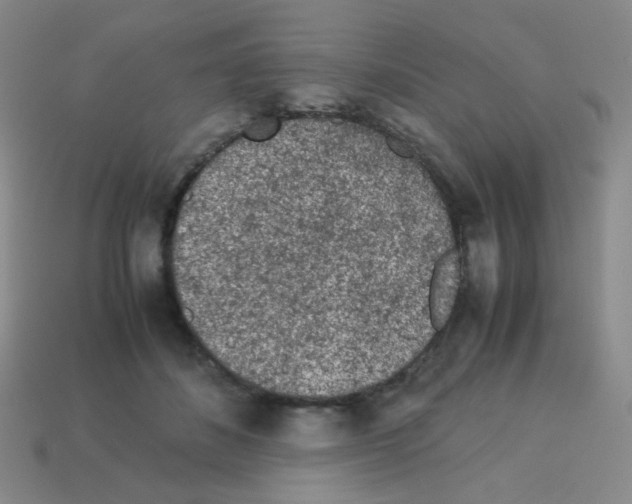 X0000113240508200910221103