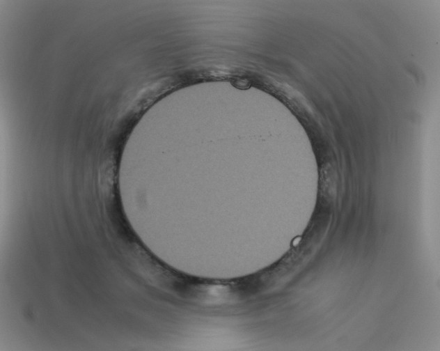 X0000113240509200910221103