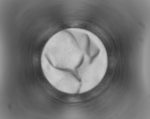 X0000113240510200910221103