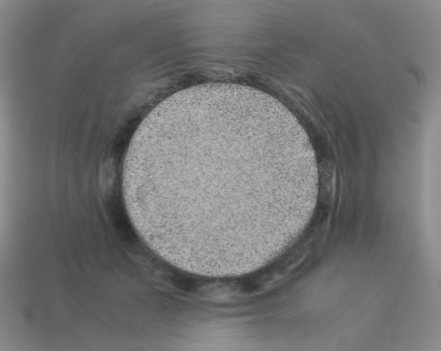 X0000113240511200910221103
