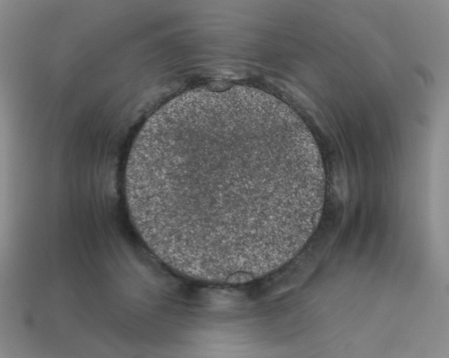 X0000113240512200910221103