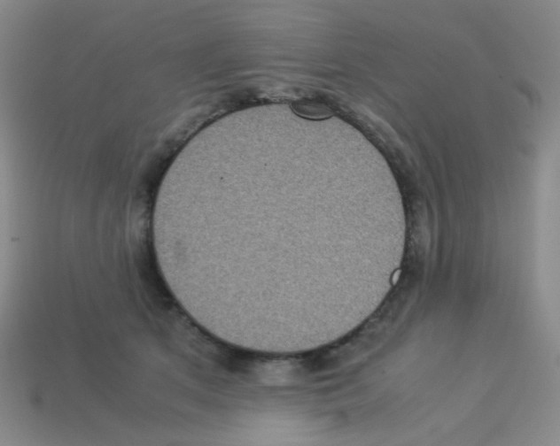 X0000113240513200910221103
