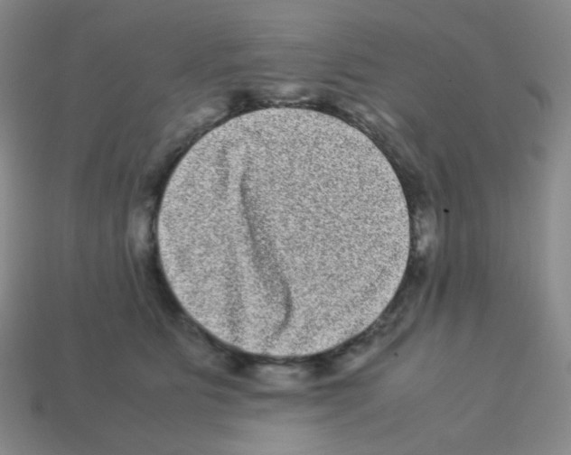 X0000113240515200910221103