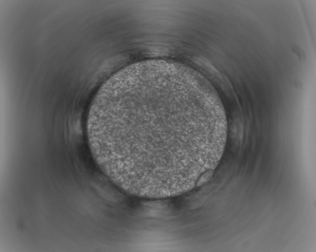 X0000113240516200910221103