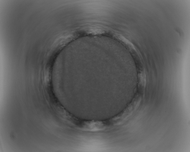 X0000113240517200910221103