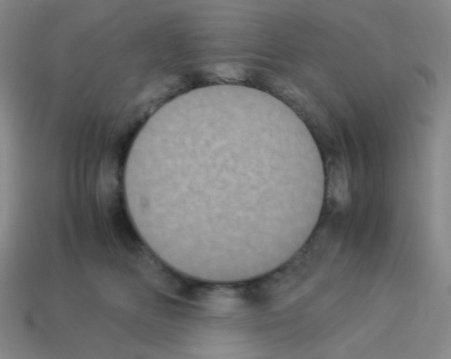 X0000113240518200910221103
