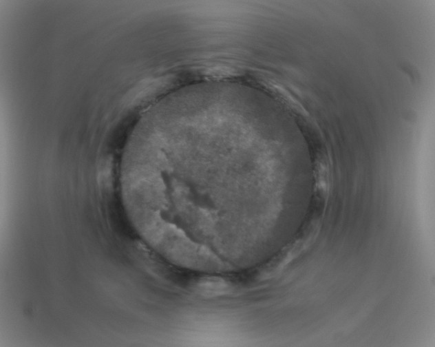 X0000113240519200910221103
