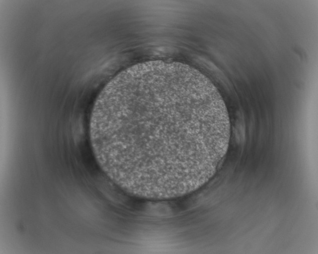X0000113240520200910221103