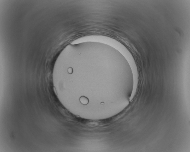 X0000113240521200910221103