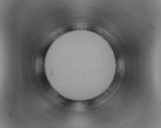 X0000113240522200910221103
