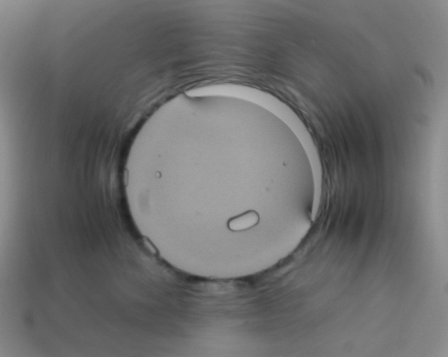 X0000113240524200910221103