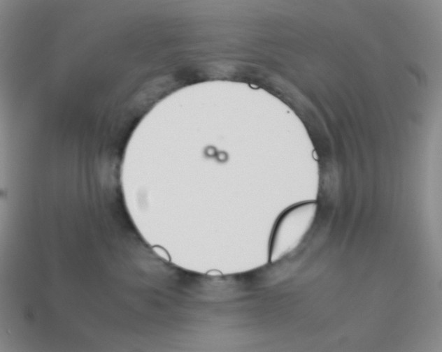 X0000113240525200910221103