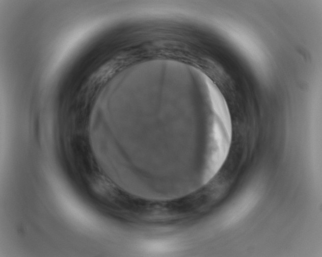 X0000113240526200910221103