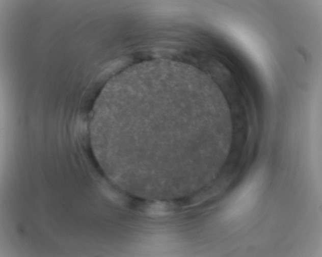 X0000113240527200910221103