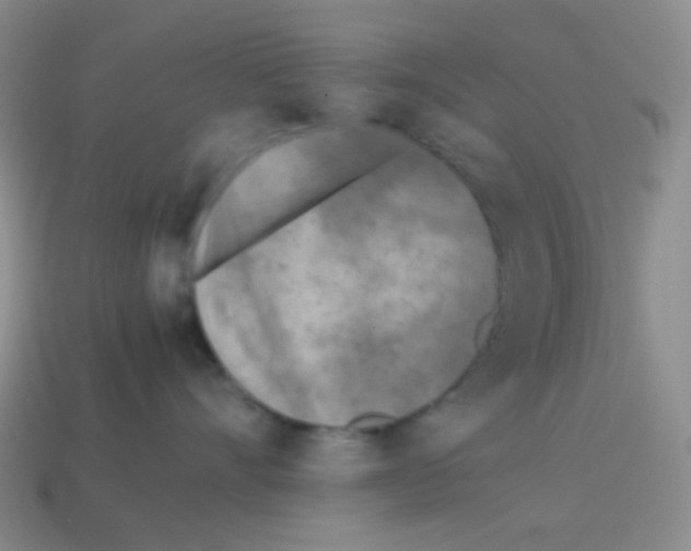 X0000113240528200910221103