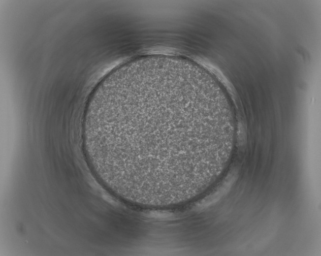 X0000113240529200910221102