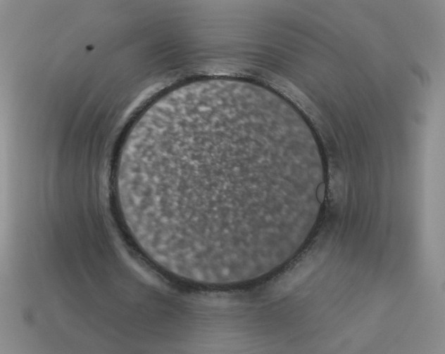 X0000113240530200910221102
