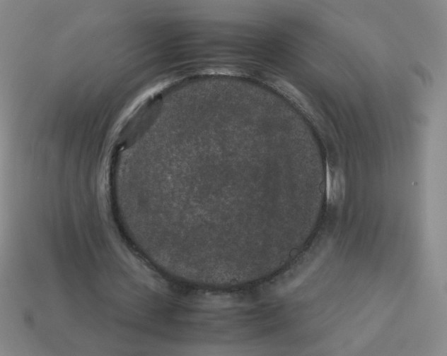 X0000113240531200910221102