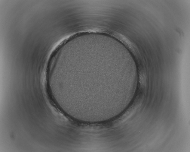 X0000113240532200910221102