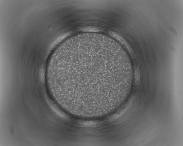 X0000113240533200910221102