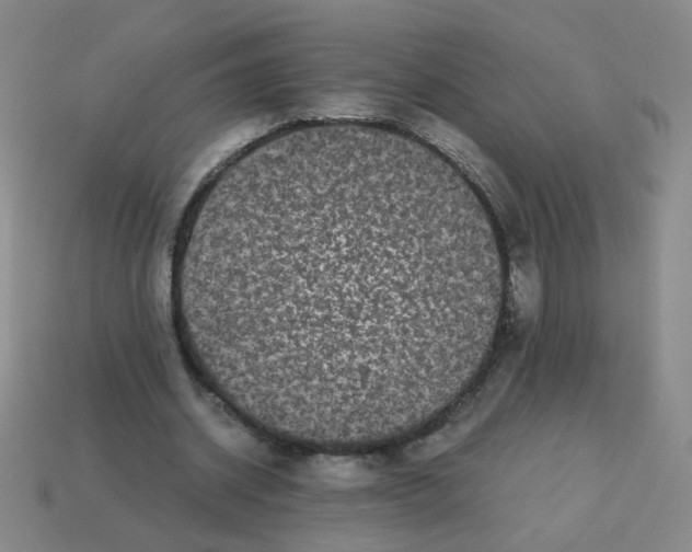 X0000113240534200910221102