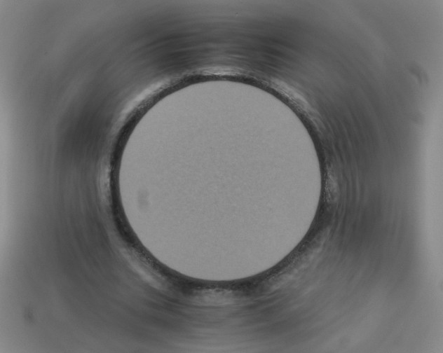 X0000113240535200910221102