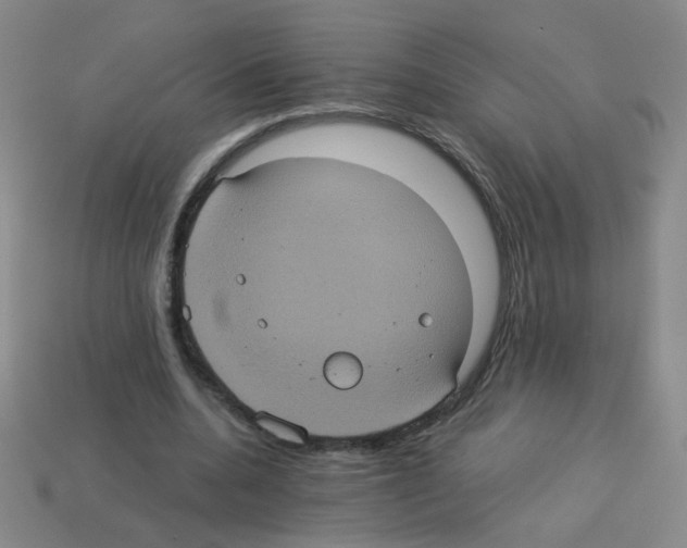 X0000113240536200910221102