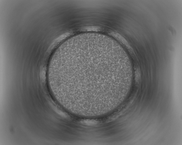 X0000113240537200910221102