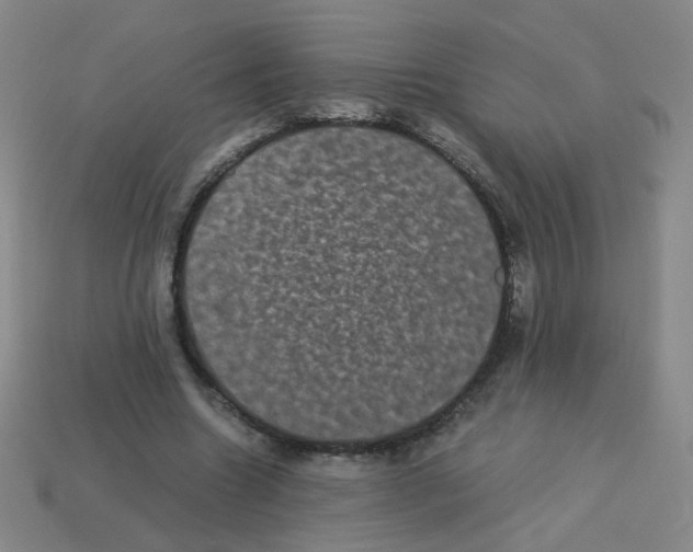 X0000113240538200910221102