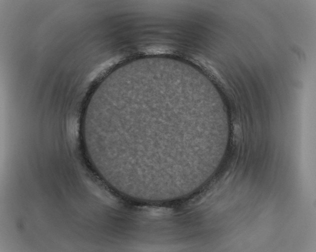 X0000113240539200910221102