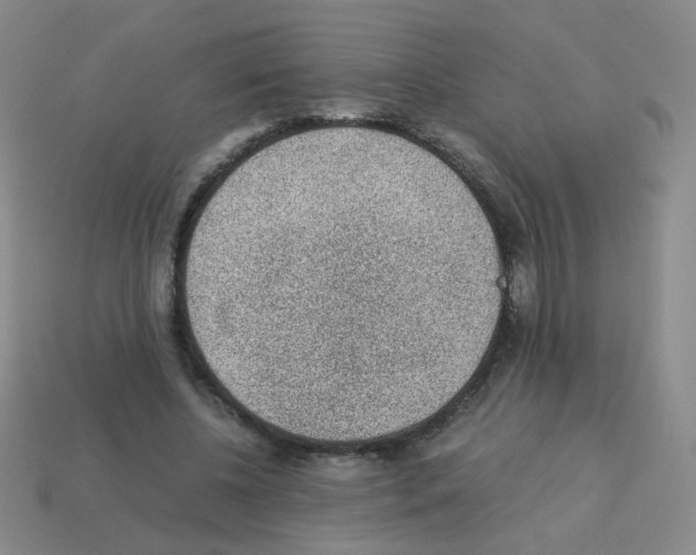 X0000113240540200910221102