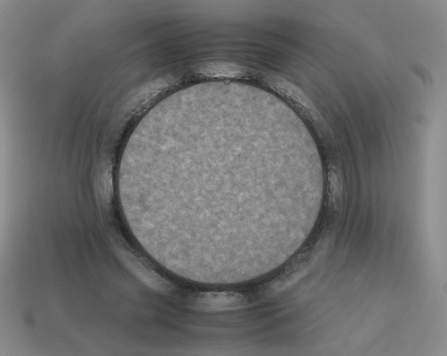 X0000113240541200910221102