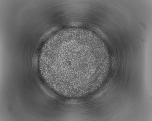 X0000113240542200910221102