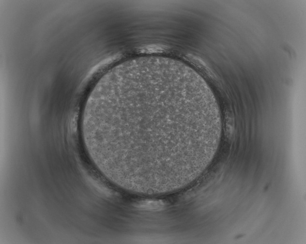 X0000113240543200910221102