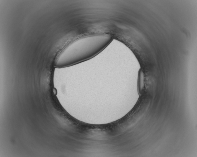 X0000113240544200910221102