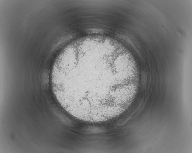 X0000113240545200910221102