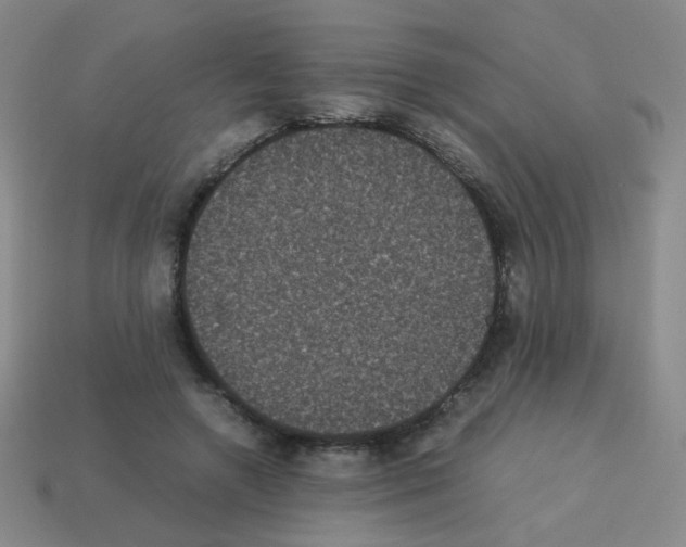 X0000113240546200910221102