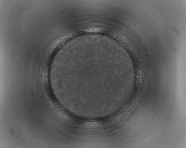 X0000113240547200910221102