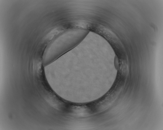 X0000113240548200910221102