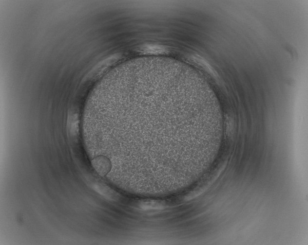 X0000113240549200910221102