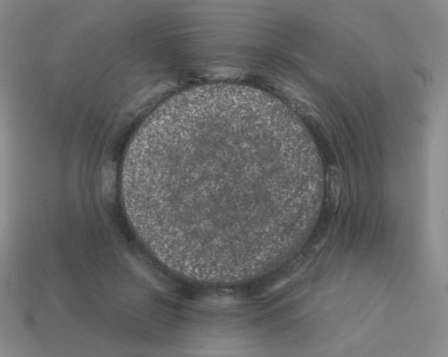 X0000113240550200910221103