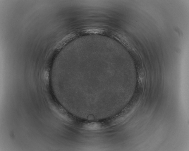 X0000113240551200910221103
