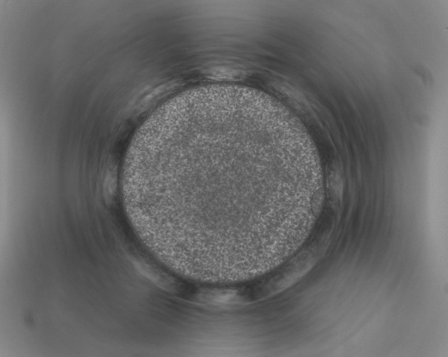 X0000113240554200910221103