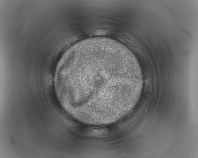 X0000113240555200910221103