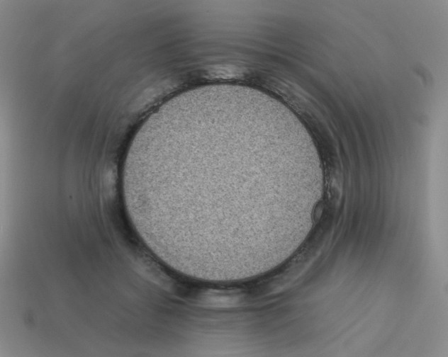 X0000113240556200910221103