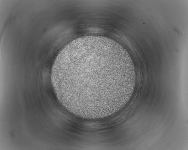 X0000113240557200910221103
