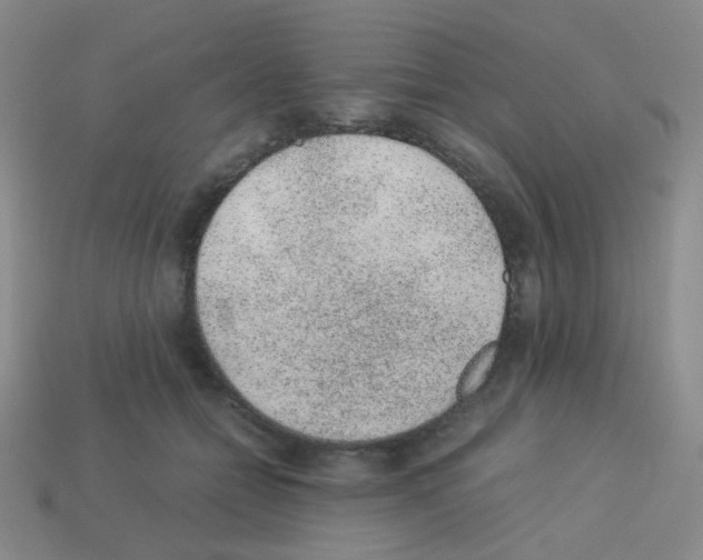 X0000113240558200910221103